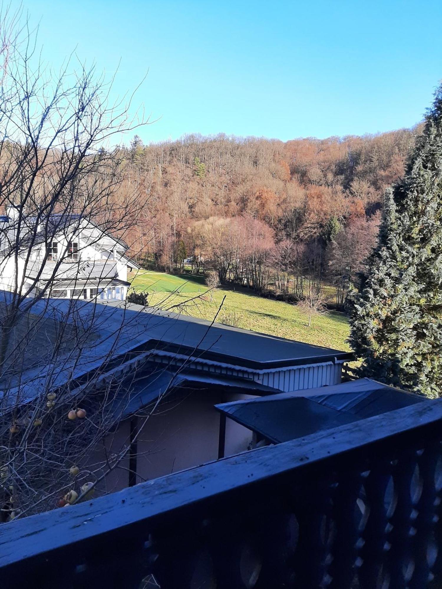 Ferienwohnung Bergblick Hallenberg Dış mekan fotoğraf