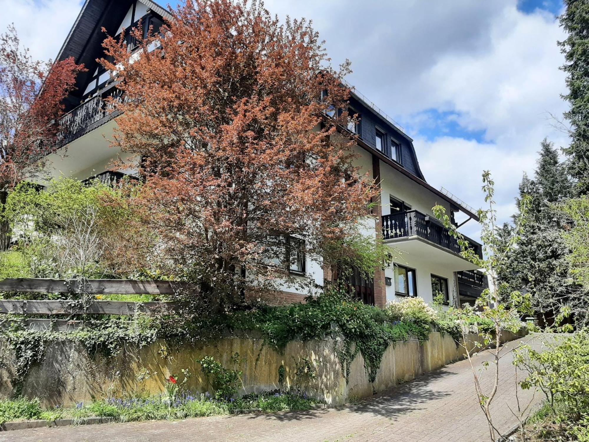 Ferienwohnung Bergblick Hallenberg Dış mekan fotoğraf